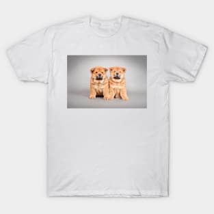 Chow chow  puppies T-Shirt